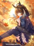  1girl ahoge animal_ears autumn_leaves bag black_hair blue_eyes blue_jacket blue_scarf blue_skirt blue_thighhighs blurry blurry_background commentary_request contrail_(racehorse) daring_tact_(racehorse) daring_tact_(umamusume) day hair_ribbon highres horse_ears horse_girl horse_tail jacket kashmir_0808 leaf long_hair long_sleeves looking_at_viewer looking_to_the_side maple_leaf medium_hair outdoors pleated_skirt ribbon scarf school_uniform sitting skirt stuffed_animal stuffed_horse stuffed_toy swept_bangs tail thighhighs tracen_school_uniform tracen_winter_coat umamusume white_ribbon 