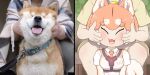  1girl animal animal_ears breasts cheek_press cheek_squash collar creature_and_personification curled_tail dog dog_(shiba_inu)_(kemono_friends) dog_ears dog_girl dog_tail face_grab hands_on_another&#039;s_cheeks hands_on_another&#039;s_face highres holding holding_animal holding_dog kemono_friends large_breasts nanachii_(nanatidayo) photo-referenced photo_inset reference_inset shiba_inu smile tail 