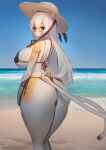  2_tails anthro beach big_breasts big_butt bikini bikini_thong breasts butt clothing domestic_cat felid feline felis female hat headgear headwear hi_res looking_at_viewer mammal multi_tail seaside side-tie_bikini solo swimwear utterangle 