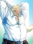  absurd_res animal_humanoid belly belt blonde_hair blush clothing dress_shirt eyewear glasses hair hi_res huckle humanoid lifewonders live-a-hero male musclegut pecs raised_arms shimazanbagu shirt solo topwear video_games 