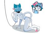  anus balls blue_hair butt collar domestic_cat felid feline felis feral genitals hair male mammal paws sima_(vkontakte) solo unknown_artist vkontakte 