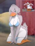  absurd_res anatid anseriform anthro avian beak big_breasts bird blue_bra blue_clothing blue_panties blue_underwear blush bra breasts cleavage clothed clothing covered_nipples duck feathers female hi_res kneeling mature_female metro-goldwyn-mayer mother_duck panties solo sunflopp tom_and_jerry underwear 