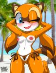  aged_up anthro beach blue_eyes breasts clothing female fur genitals hand_behind_head hi_res looking_at_viewer mammal marine_the_raccoon nipples one_eye_closed open_mouth orange_body orange_fur pose procyonid pussy raccoon sand sea seaside sega sirjzau small_breasts solo sonic_the_hedgehog_(series) swimwear water wide_hips 