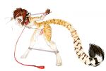  anklav anthro dipstick_tail eyes_closed felid fur genitals girly hair jeffusherb leash_and_collar male mammal markings open_mouth pantherine penis restraints simple_background solo spreader_bar tail_markings tiger tongue tongue_out whiskers white_background 