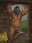  2018 abs animal_genitalia animal_penis anthro balls biceps biped black_balls black_penis brown_body brown_fur dirt equid equine equine_penis erection flared_penis front_view fur genitals grass hay horse looking_at_viewer male mammal mane medial_ring muscular muscular_anthro muscular_male navel nude nude_anthro nude_male orcfun pecs penis pink_penis plant presenting presenting_penis quads raised_arms serratus sheath solo stable standing triceps urethra 
