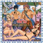  2boys 3girls bag big_breasts bikini boy boys breasts cd cleavage cover curvy drink earings earrings erza_scarlet fairy_tail female girl gray_fullbuster happy_(fairy_tail) jewelry large_breasts lucy_heartfilia mashima_hiro mirajane mirajane_strauss multiple_boys multiple_girls muscle natsu_dragneel necklace red_hair soundtrack swimsuit tattoo 
