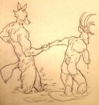  anthro antlers athletic beastars butt canid canine canis cervid dripping duo hand_holding horn legoshi_(beastars) louis_(beastars) male male/male mammal nude skinny_dipping splash wet wolf wuffinarts 