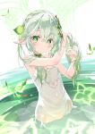  1girl arm_up bangs bare_arms bare_shoulders blush braid breasts bug closed_mouth commentary_request cross-shaped_pupils crystalfly_(genshin_impact) dress genshin_impact green_eyes green_hair grey_hair hair_between_eyes hair_ornament hand_up highres kani_biimu long_hair looking_at_viewer nahida_(genshin_impact) pointy_ears see-through side_ponytail sleeveless sleeveless_dress small_breasts smile solo standing symbol-shaped_pupils water wet wet_clothes wet_dress white_dress 