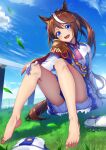  1girl animal_ears barefoot bloomers blue_eyes blue_sky brown_hair cloud commentary_request day epaulettes grass highres horse_ears horse_girl horse_tail legs long_hair looking_at_viewer multicolored_hair open_mouth outdoors ponytail sky smile solo streaked_hair tail teeth tks_(526tks) toenails toes tokai_teio_(umamusume) umamusume underwear upper_teeth white_bloomers white_hair 