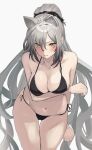  1girl animal_ears arknights arm_under_breasts bangs bikini black_bikini blush breasts cat_ears cleavage collarbone commentary_request cowboy_shot grey_hair hair_between_eyes highres large_breasts long_bangs long_hair looking_at_viewer looking_up navel parted_lips ponytail schwarz_(arknights) side-tie_bikini_bottom simple_background solo solokitsune standing stomach swept_bangs swimsuit very_long_hair white_background yellow_eyes 