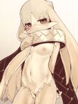  1girl artist_name blush body_fur breasts brown_eyes closed_mouth furry furry_female genderswap genderswap_(mtf) gradient gradient_background highres kaze_no_klonoa king_of_sorrow looking_at_viewer monochrome navel nipples scarf shourin_bonzu small_breasts solo 