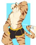  absurd_res anthro armpit_hair body_hair bulge clothed clothing felid hi_res male mammal muscular muscular_male pantherine striped_body stripes terryskaii_(artist) tiger topless underwear 