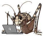  amerika_zarigani antennae bug commentary_request computer cricket full_body laptop manatsu_no_yo_no_inmu mouse_(computer) no_humans oversized_insect simple_background transparent_background 