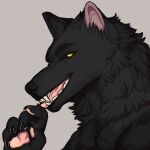  anthro black_body black_fur black_nose blood blood_on_hand bodily_fluids canid canine canis claws eyebrows finger_claws fur hi_res licking looking_at_viewer male mammal orange_eyes pawpads runelocks sharp_claws sharp_teeth solo teeth tongue tongue_out wolf 