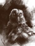  3:4 absurd_res accipitrid accipitriform anthro avian beak bearded_vulture bird black_and_white digital_media_(artwork) feathers hi_res kotia looking_at_viewer male monochrome old_world_vulture open_mouth portrait simple_background solo vulture 