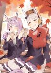  2girls absurdres animal_ears arm_support autumn autumn_leaves bangs bench black_coat blunt_bangs blush breasts bright_pupils coat ear_covers falling_leaves food foot_out_of_frame gloves gloves_removed gold_ship_(umamusume) grey_hair grin hands_up highres horse_ears horse_tail large_breasts leaf looking_at_another maple_leaf mejiro_mcqueen_(umamusume) multiple_girls open_mouth petticoat pink_eyes pleated_skirt purple_eyes purple_hair red_gloves red_scarf scarf sitting skirt smile steam sweet_potato tail teeth thighhighs tree umamusume usukawa_(uskw_sr) v-shaped_eyebrows white_pupils white_thighhighs 
