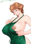  1girl apron armpit_peek bare_shoulders breasts brown_hair collarbone dark_areolae from_side green_apron large_breasts lips mature_female mole mole_under_eye naked_apron nipple_slip nipples original short_hair sideboob smile solo standing tatsunami_youtoku upper_body white_background 