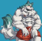  2022 abs anthro barazoku biceps big_muscles blue_background blush bottomwear brand_new_animal canid canine canis clothed clothing collar frown fur hi_res huge_muscles male mammal muscular muscular_anthro muscular_male navel nipples obliques pecs shirou_ogami shorts simple_background solo standing studio_trigger teseirei topless topless_anthro topless_male tuft wolf 