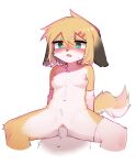  2022 anthro blonde_hair blush bodily_fluids breasts canid canine canis cowgirl_position crayon_(artist) domestic_dog duo female female_penetrated from_front_position fur genitals green_eyes hair hi_res kemono male male/female male_penetrating male_penetrating_female mammal navel nipples on_bottom on_top open_mouth penetration penile penile_penetration penis penis_in_pussy pussy sex simple_background small_breasts spread_legs spreading straddling sweat vaginal vaginal_penetration white_background yellow_body yellow_fur young 
