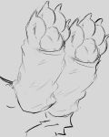  ambiguous_form ambiguous_gender hi_res monochrome paws sketch terryskaii_(artist) warmers 