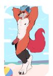  absurd_res among_us anthro ball beach beach_ball canid canine fox genitals hi_res inflatable innersloth invalid_tag male mammal nude paws penis pose red_fox seaside smug smug_grin solo terryskaii_(artist) video_games 