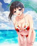  1girl bikini black_hair blush breasts cloud collarbone day dolphin hands_on_own_legs large_breasts leaning_forward nanase_umi navel outdoors print_bikini shakunetsu_no_nirai_kanai shinogi_k swimsuit water 