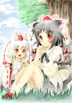  animal_ears black_hair black_wings cat_ears cat_tail detached_sleeves hat inubashiri_momiji kemonomimi_mode multiple_girls red_eyes shameimaru_aya short_hair silver_hair tail tokin_hat touhou wings wolf_ears wolf_tail yozuki_shokora 