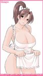  apron blush breasts champ champ+ cleavage king_of_fighters naked_apron shiranui_mai smile snk 