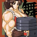  breasts dumbbell extreme_muscles fatal_fury king_of_fighters kof lowres muscle muscles muscular ren_(tainca2000) rentb shiranui_mai snk weights 