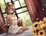  2019 anthro barefoot bed biped blue_eyes blush breasts brown_body brown_fur brown_hair chest_tuft cleavage clothed clothing curtains digital_media_(artwork) dress eyelashes feet female flower fur furniture hair humanoid_feet inner_ear_fluff inside kneeling looking_at_viewer mammal on_bed plant shaded solo tekahika tuft white_clothing white_dress window 