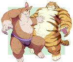  2022 anthro balls barely_visible_balls barely_visible_genitalia barely_visible_penis belly bulge clothing duo felid gadoran genitals hi_res humanoid_hands kemono lagomorph leporid male male/male mammal musclegut overweight overweight_male pantherine penis rabbit tiger underwear 