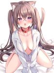  1girl absurdres animal_ears artist_name bangs blurry blurry_background blush breasts brown_hair cat_ears cat_tail choker collarbone collared_shirt crossed_bangs fang hamico highres long_sleeves looking_at_viewer medium_breasts no_panties no_pants on_bed open_clothes open_mouth open_shirt original purple_eyes red_choker shiny shiny_hair shirt sidelocks simple_background sitting solo tail twintails wariza white_background 
