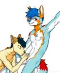  absurd_res anthro arctic_wolf balls blue_hair brown_body brown_fur canid canine canis dog_tags domestic_dog duo erection eyes_closed falcon_woodwere fall_lightsky fur genitals hair hand_on_head hand_on_penis hi_res husky looking_at_viewer male male/male mammal multicolored_body multicolored_fur nipple_piercing nipples nordic_sled_dog oral penis piercing pink_penis raised_arm red_eyes shuraishi sitting spitz sucking wolf 