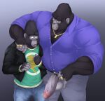  2022 anthro ape balls belt big_daddy_(sing) bottomwear clothing digital_media_(artwork) duo father father_and_child father_and_son genitals gorilla haplorhine hi_res humanoid_genitalia humanoid_penis illumination_entertainment jacket jewelry johnny_(sing) male mammal muscular muscular_anthro muscular_male necklace pants parent parent_and_child penis primate shirt simple_background sing_(movie) son taighet_28 topwear 