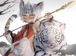  1boy animal_ears black_hair cat_boy chinese_clothes chinese_zodiac dark_skin facial_mark highres indie_virtual_youtuber mihos_(vtuber) multicolored_hair non-web_source ocelot_ears ocelot_tail polearm short_hair solo sorani_(kaeru0768) spear tail tiger two-tone_hair virtual_youtuber weapon whisker_markings white_hair year_of_the_tiger yellow_eyes 