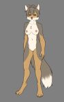  canid canine female ferra_(disambiguation) fox foxboy83 hi_res mammal tibetan_sand_fox tootaloo vixen_logic 