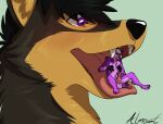  anthro balls blush bodily_fluids canid canine canis duo erection fox genital_fluids genitals hi_res iwilldrawalmostanything male male/male mammal nude open_mouth oral_vore penis precum simple_background smile soft_vore tongue vore wolf 