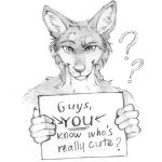  akatan_art anthro bust_portrait canid cheek_tuft closed_smile english_text facial_tuft front_view glistening glistening_eyes greyscale hi_res holding_object holding_sign inner_ear_fluff looking_at_viewer male mammal monochrome mouth_closed neck_tuft nude portrait question_mark shoulder_tuft sign simple_background solo text tuft unsigned whiskers 
