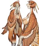  absurd_res avian big_breasts big_nose breasts claws duo european_mythology feathered_wings feathers female greek_mythology harpy hi_res humanoid mossa mythological_avian mythology spiral wings 