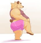  bear bearwithabroom belly bodily_fluids brum butt clothed clothing exercise feet hi_res male mammal overweight overweight_male simple_background solo sweat workout 