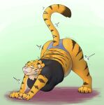  2022 anthro big_breasts big_butt breasts butt clothing felid female hi_res mammal marta_(themuffinly) mature_female pantherine panties slightly_chubby slightly_chubby_female solo stretching themuffinly tiger tongue tongue_out underwear 