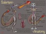  anatomy anatomy_reference anthro areola big_tail bone breasts cartilage female genitals hi_res long_neck model_sheet non-mammal_breasts nude organs original_content ovaries penetration pussy salertani scalie secretions skeleton small_waist solo standing text thick_thighs vaginal vaginal_penetration vike_mike 