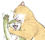  animal_focus animal_hands animalization annoyed cat curly_eyebrows facial_hair goatee licking_another&#039;s_head no.6_(numberr_6) one_piece roronoa_zoro sanji_(one_piece) upper_body 