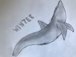  animal_genitalia bottlenose_dolphin cetacean clearwater_aquarium dolphin dolphin_tale female feral florida genitals graphite_(artwork) mammal marine navel nub_tail oceanic_dolphin orca621 orcabutt pencil_(artwork) sketch slit solo tailless toothed_whale traditional_media_(artwork) winter winter_(dolphin_tale) 