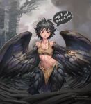  1girl animal_ears bangs bare_shoulders bird_ears bird_legs bird_tail black_feathers black_hair black_wings breasts centralhanyuu dark_souls_(series) dark_souls_iii feathered_wings feathers harpy highres messy_hair midriff monster_girl navel open_mouth personification pickle_pee_pump-a-rum_crow rags red_eyes short_hair small_breasts solo speech_bubble tail twitter_username winged_arms wings 