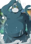  2022 anthro belly big_belly blush detailed_background domestic_cat felid feline felis hi_res kemono konsuke male mammal moobs overweight overweight_male solo steam towel water 