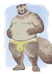  2022 anthro belly big_belly brown_body bulge canid canine clothing hi_res humanoid_hands kemono kick_(artist) male mammal moobs navel nipples overweight overweight_male raccoon_dog solo tanuki underwear 