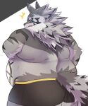  2022 anthro belly big_belly biped butt canid canine clothing hi_res kemono lifewonders mammal norsu327 obese overweight seth_(tas) solo tokyo_afterschool_summoners underwear video_games 