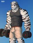  2022 5_fingers absurd_res anthro arknights artist_name black_body black_fur bottomwear bulge clothing exercise eye_scar facial_scar felid fingers fur gradient_background hi_res holding_object hypergryph male mammal mountain_(arknights) multicolored_body multicolored_fur muscular muscular_anthro muscular_male pantherine rofu_kagazaki scar shorts simple_background striped_body striped_fur stripes studio_montagne tiger two_tone_body two_tone_fur video_games weightlifting white_body white_fur workout 