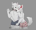  anthro black_eyes blerp blush boxers_(clothing) brother bulge canid canid_demon canine canis chest_tuft clothed clothing crotch_grab demon domestic_dog duo fur grope hand_in_underwear heart_boxers heart_underwear hellhound hi_res horn hybrid incest_(lore) male male/male mammal navel nordic_sled_dog open_mouth pecs raised_tail red_eyes samoyed shocked sibling spitz topless tuft underwear white_body white_fur wolfdog wolfyvero wonivero 